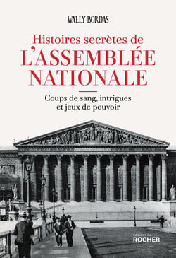 Histoires secrètes de l'Assemblée nationale : Coups de sang, intrigues et jeux de pouvoir