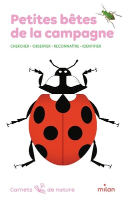 Petites bêtes de la campagne : chercher, observer, reconnaître, identifier