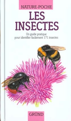 Les insectes