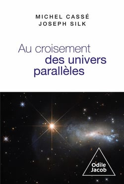 Au croisement des univers parallèles : Cosmologie et métacosmologie