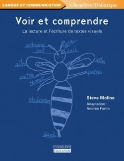 VOIR ET COMPRENDRE