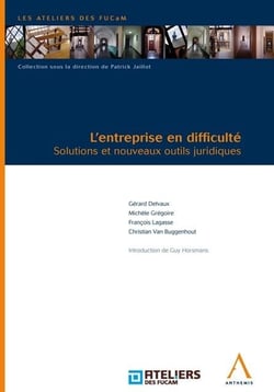 L'entreprise en difficulté - solutions et nouveaux outils juridiques