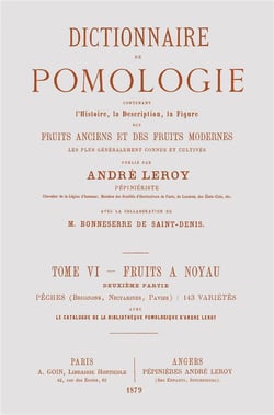Dictionnaire de pomologie Tome 6 - fruits à noyau Tome 2 - pêches