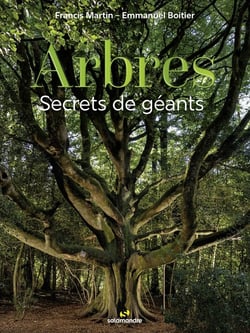 Arbres, secrets de géants