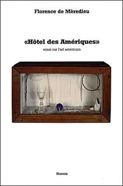 Hôtel des amériques, essai sur l'art américain