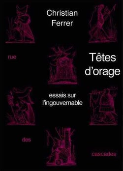 Têtes d'orage : essais sur l'ingouvernable