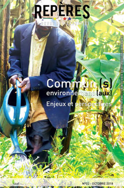 Commun (s) environnement (aux). Enjeux et perspectives