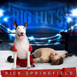 Big Hits Rick Springfield's Greatest Hits, Vol. 2 - édition colorée gatefold