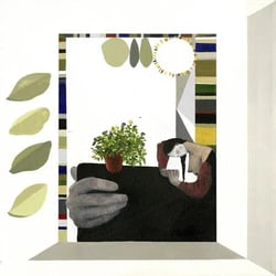 Magnolia - édition colorée