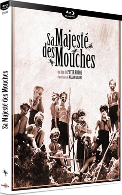 Sa majesté des mouches