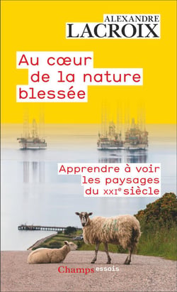 Au coeur de la nature blessée : Apprendre à voir les paysages du XXIe siècle