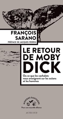 Le retour de Moby Dick, ou ce que les cachalots nous enseignent sur les océans et les hommes