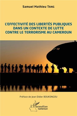 L'effectivité des libertés publiques dans un contaxte de lutte contre le terrorisme au Cameroun