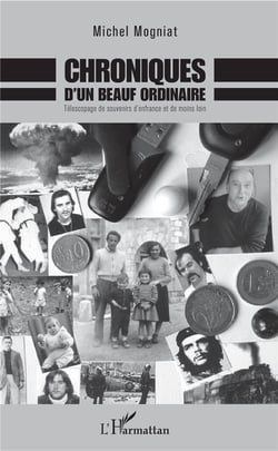 Chroniques d'un beauf ordinaire - télescopage de souvenirs d'enfance et de moins loin