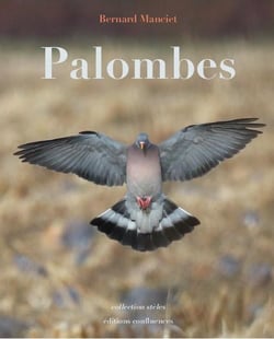 PALOMBES