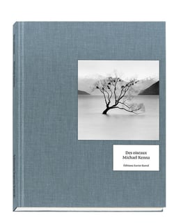 Des oiseaux