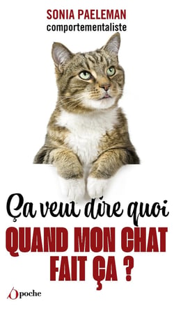 Ça veut dire quoi quand mon chat fait ça ?