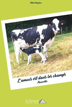 L amour est dans les champs