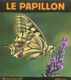 Le papillon