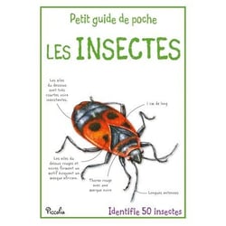 Les insectes - identifie 50 insectes