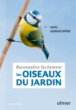 Reconnaître facilement les oiseaux du jardin - photos grandeur nature