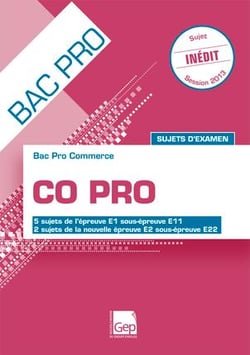 CO PRO BAC PRO COMMERCE SUJETS D EXAMEN