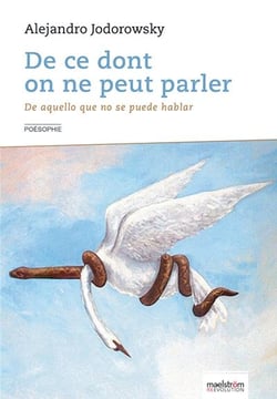 De ce dont on ne peut parler - de aquello que no se puede hablar