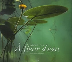 À fleur d'eau