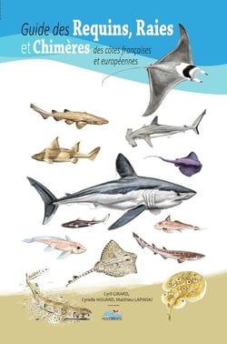 Guide des requins, raies et chimères des côtes françaises et européennes