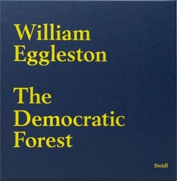 William eggleston the democratic forest
