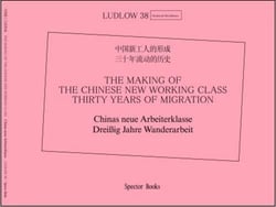 The making of the chinese new working class thirty years of migration