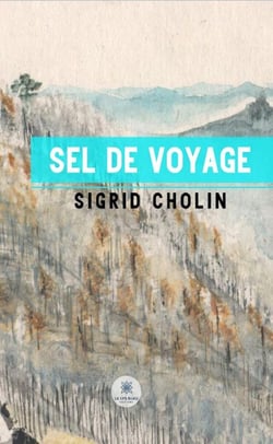 Sel de voyage