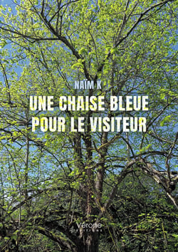 Une chaise bleue pour le visiteur