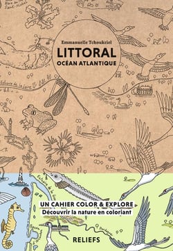 Littoral océan atlantique - affiche à colorier