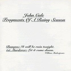 Fragments of a rainy season - Vinyle