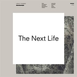 The next life - Vinyle