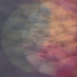 Cryptophasia - édition limitée colorée