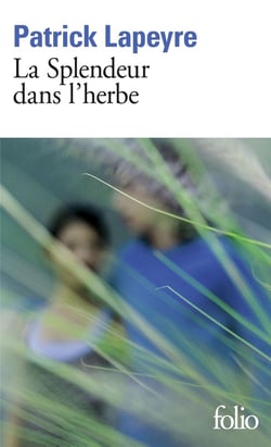 La splendeur dans l'herbe