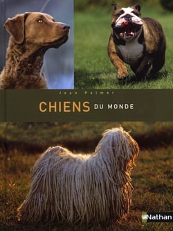 Chiens du monde