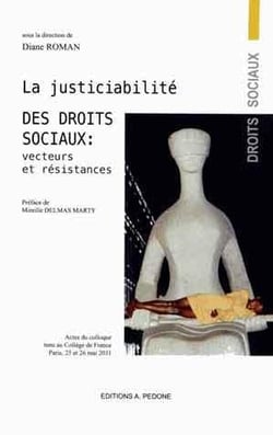 La justiciabilite des droits sociaux - vecteurs et résistances