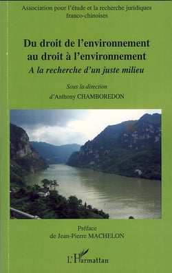 Du droit de l'environnement au droit à l'environnement - à la recherche d'un juste milieu