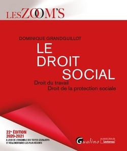 Le droit social - droit du travail, droit de la protection sociale (édition 2020/2021)