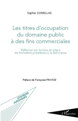 Les titres d'occupation du domaine public à des fins commerciales - réflexion sur la mise en place de formalités préalables à la délivrance