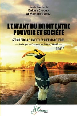 L'enfant du droit, entre pouvoir et société Tome 2 : servir par la plume et les arpents de terre