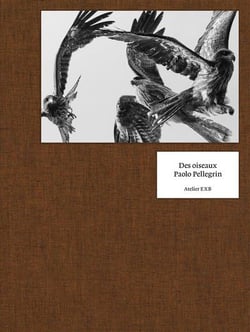 Des oiseaux (version francaise)