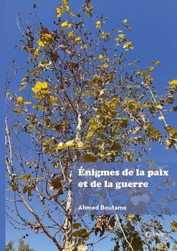 Énigmes de la paix et de la guerre : Le cas de l'Afghanistan : entre conflits et espoirs de paix.