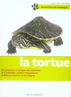 La tortue