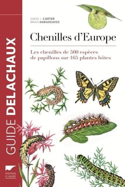 Guide Des Chenilles D Europe