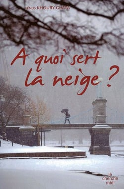 À quoi sert la neige ?