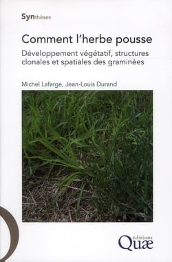 Comment l'herbe pousse - développement végétatif, structures clonales et spatiales des graminées